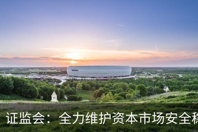 证监会：全力维护资本市场安全稳定